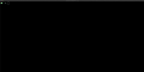 Terminal with NPM package running on it